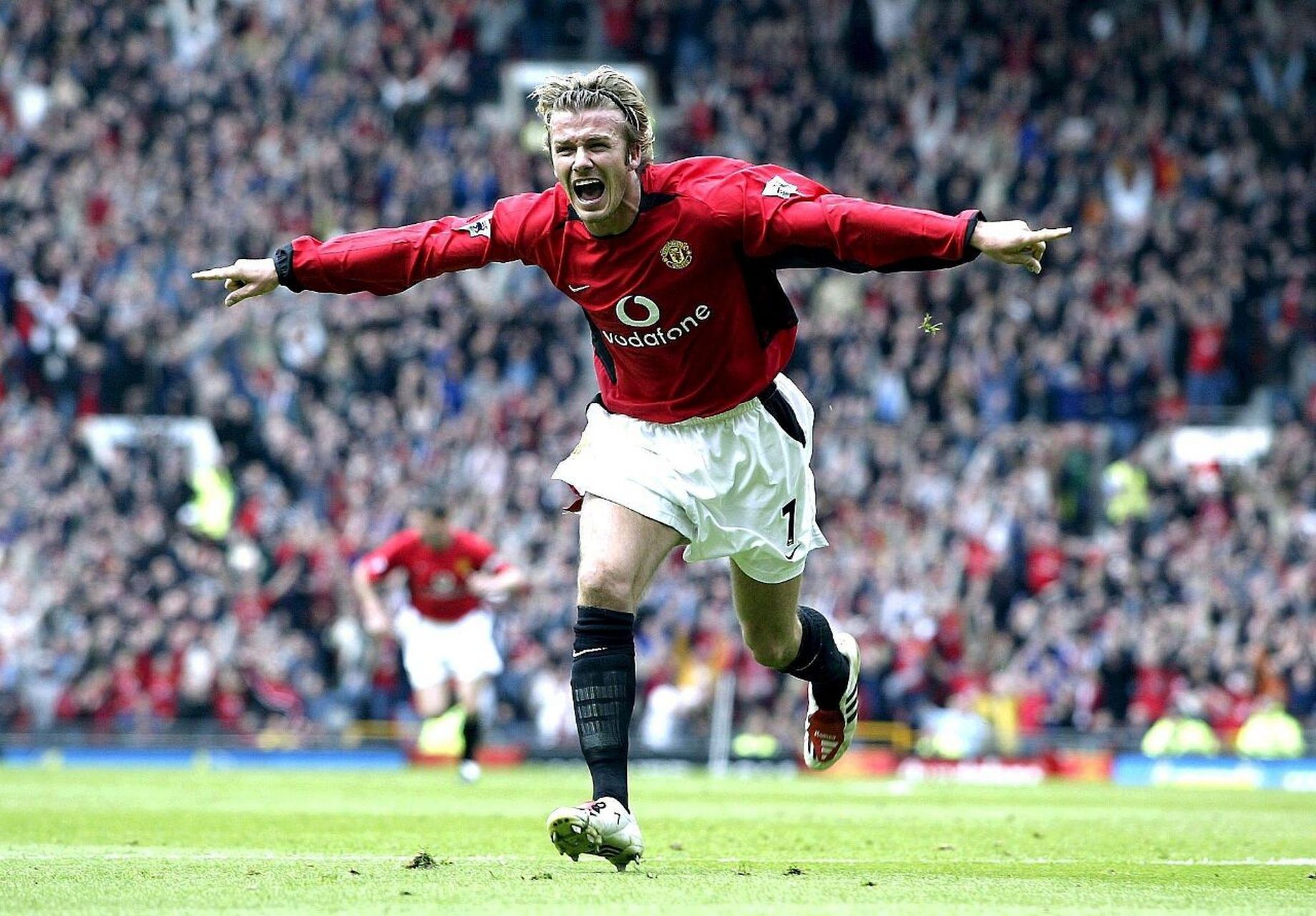 沙拉维与迪 沙拉维与迪